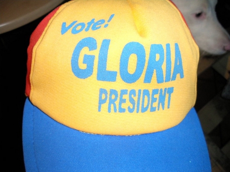 bundespräsident wahl bundespräsident wahl