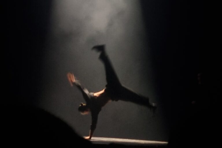 Flying Lights @ Wintergarten Variete